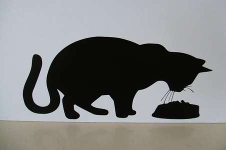 Bestand:Normal cat.jpg