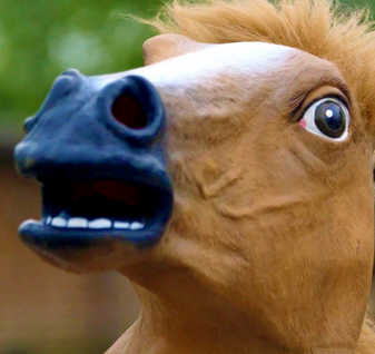 Bestand:Horse.png