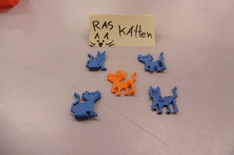 Bestand:Ras katten.jpeg