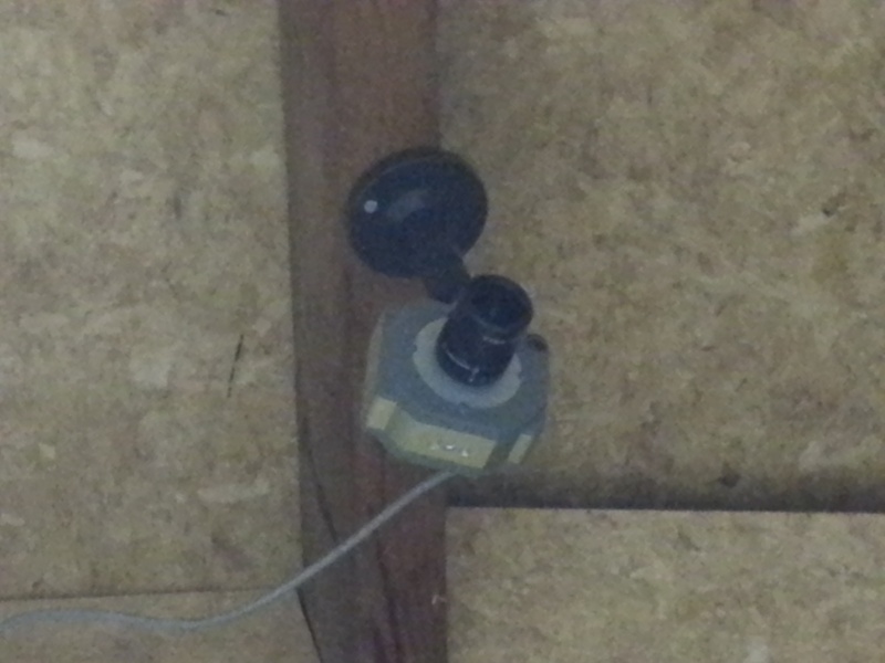 Bestand:Zarya 21178.jpg